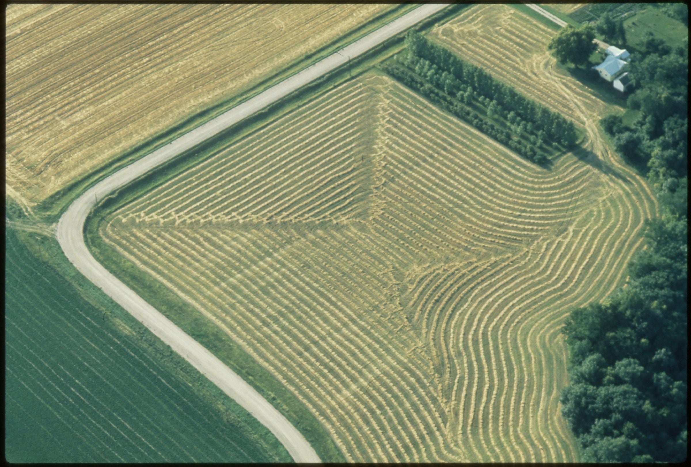 Aerial photograph of farmland divided into cultivated blocks