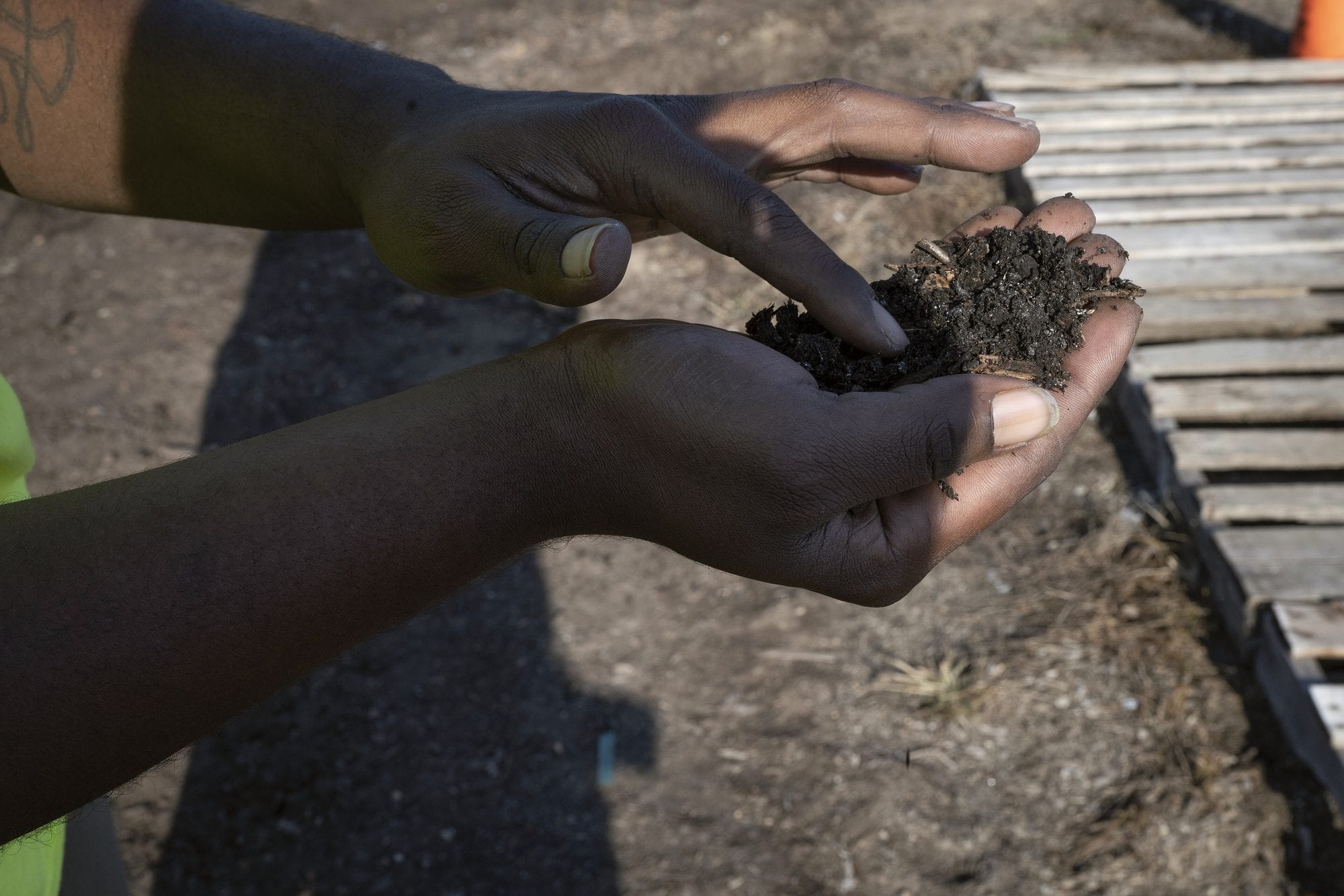 Two hands holding a scoop of dark soil