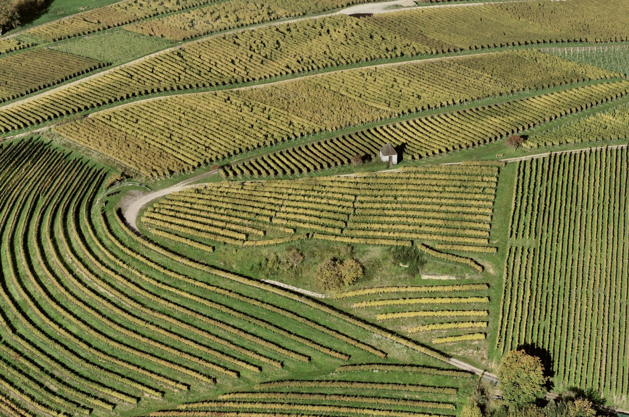 Aerial view of contour cultivated fields following the shape of the land